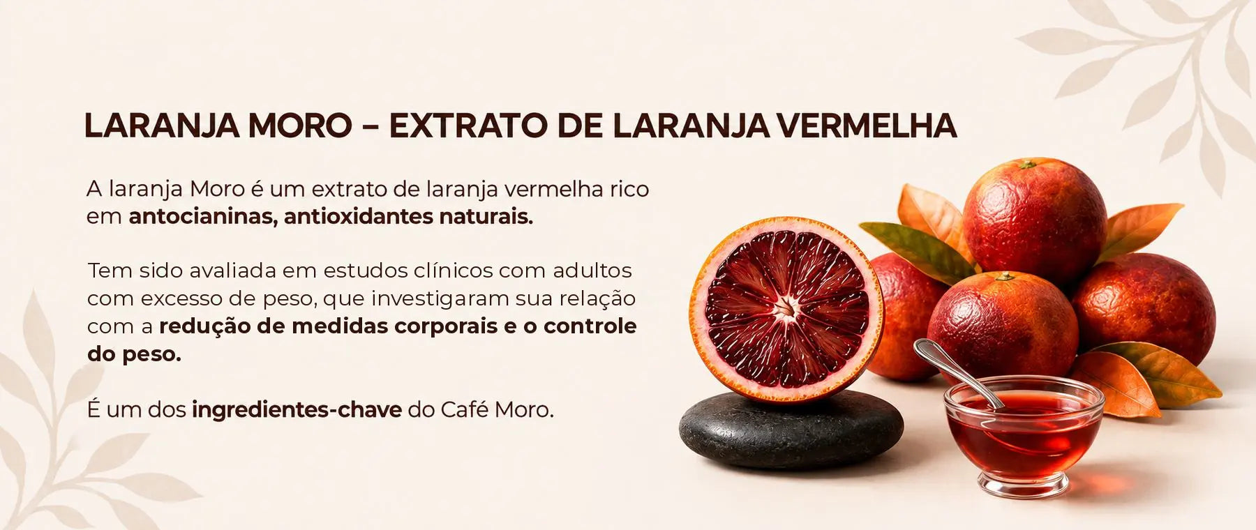 Laranja Moro, extrato de laranja vermelha